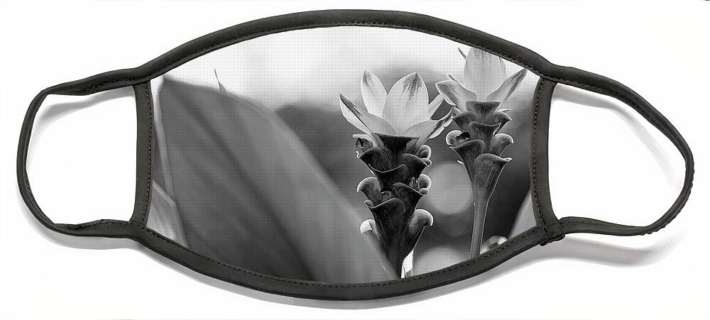 Background Face Mask featuring the photograph White Curcuma Flower #10 by Raul Rodriguez