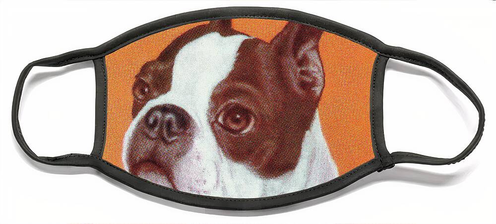 Animal Face Mask featuring the drawing Boston Terrier #12 by CSA Images