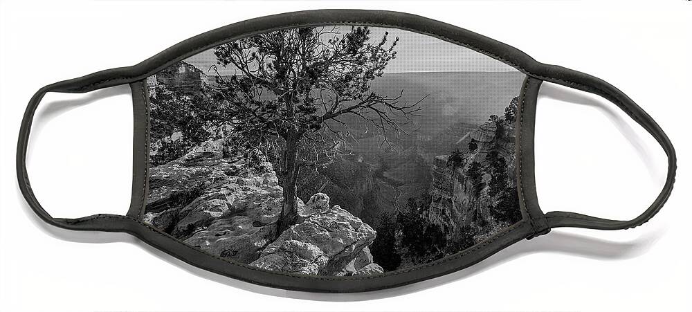 Disk1216 Face Mask featuring the photograph North Rim, Grand Canyon #3 by Tim Fitzharris