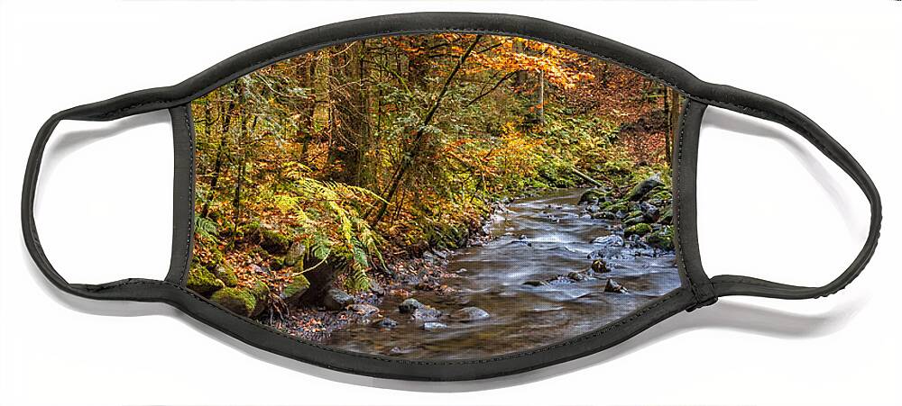 Ravenna-gorge Face Mask featuring the photograph Cascades And Waterfalls #5 by Bernd Laeschke