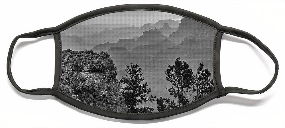 Disk1216 Face Mask featuring the photograph South Rim, Grand Canyon #8 by Tim Fitzharris