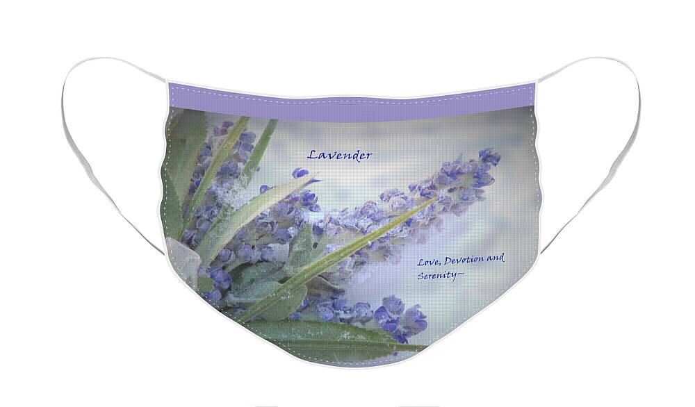 Lavender Face Mask featuring the photograph A Gift Of Lavender by Angela Davies