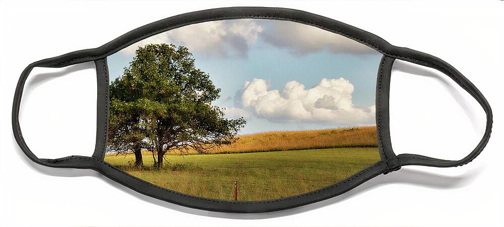 Creek County Face Mask featuring the photograph A Little Shade by Lana Trussell