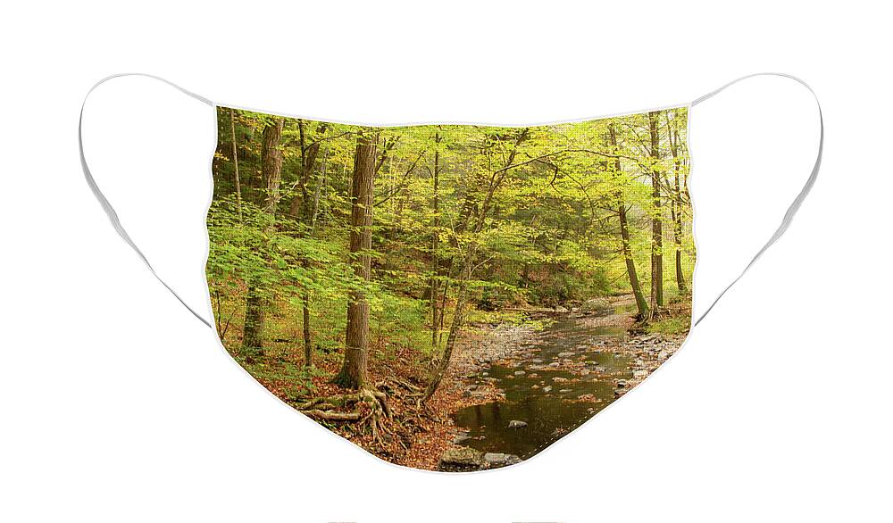 Dingmans Face Mask featuring the photograph A Misty Morning At Dingmans Creek by Kristia Adams