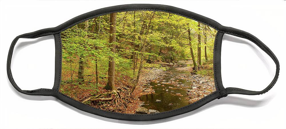 Dingmans Face Mask featuring the photograph A Misty Morning At Dingmans Creek by Kristia Adams