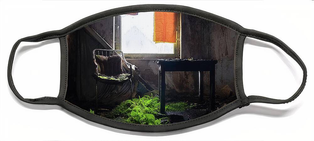 Abandoned Face Mask featuring the photograph Abandoned Room with Plants by Roman Robroek