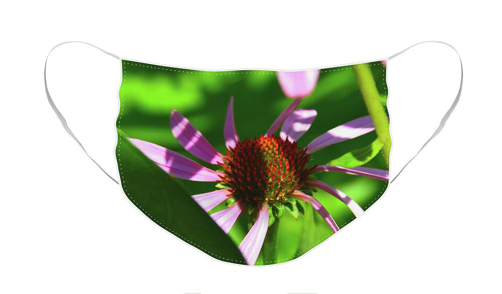 Purple Face Mask featuring the photograph Abstract Coneflower by Robyn King