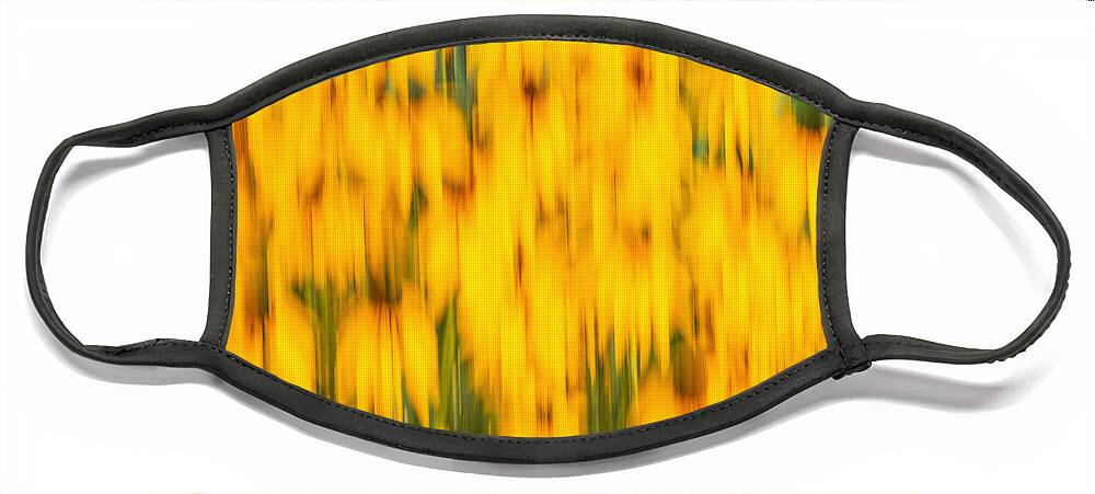 Sunflowers Face Mask featuring the photograph Abstract Rudbeckia 2018-1 by Thomas Young