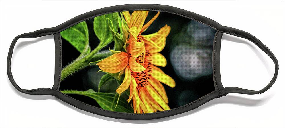 Sunflower Face Mask featuring the photograph Adding Light and Color to my Life by Ola Allen