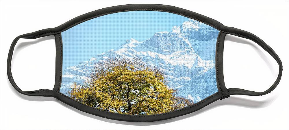 Nature Face Mask featuring the photograph Alpine Autumn by Rick Deacon