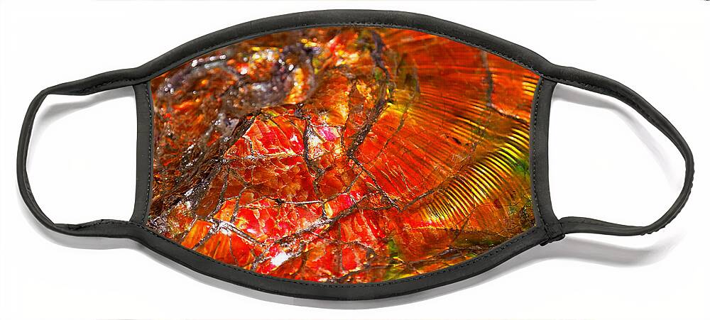 Ammolite Face Mask featuring the photograph Ammolite fossil by Sue Harper