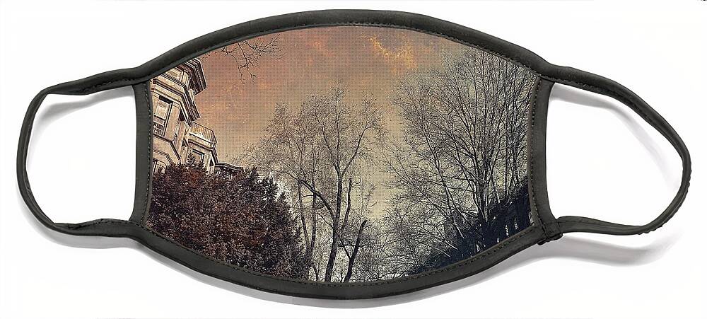 Brooklyn Face Mask featuring the photograph Among the Brownstones - Gift for New Yorkers by Onedayoneimage Photography
