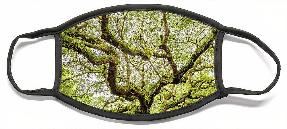 50 Face Mask featuring the photograph 50 - Family - Angel Oak 2019 by Jessica Yurinko
