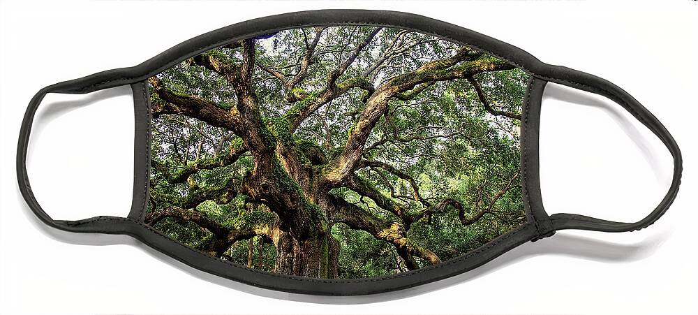 Carolinas Face Mask featuring the photograph Angel Oak Tree by Lana Trussell