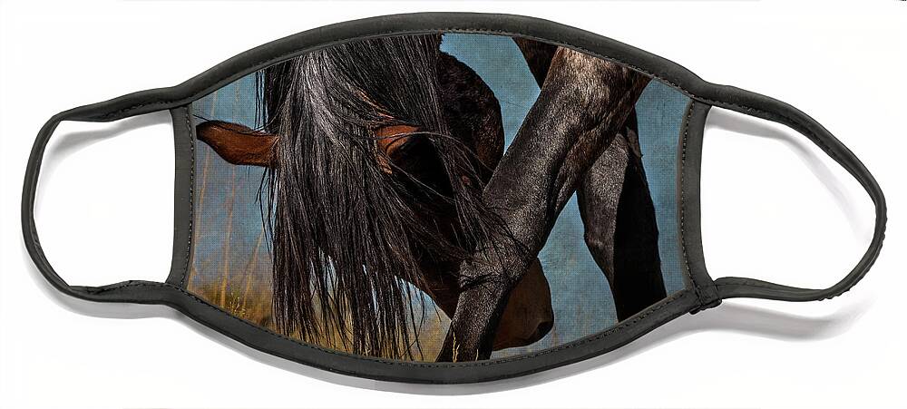 Horse Face Mask featuring the photograph Angles of the Horse by Mary Hone