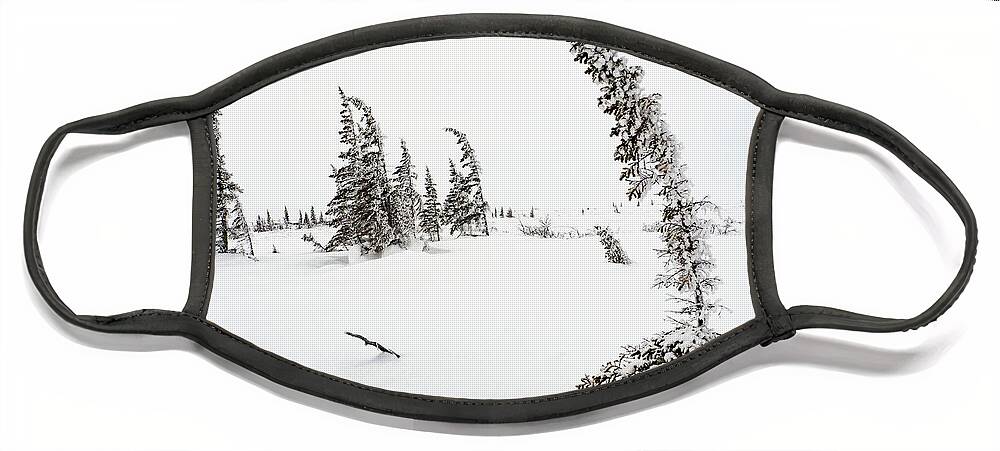 Churchill Face Mask featuring the photograph Arctic Scene by Minnie Gallman