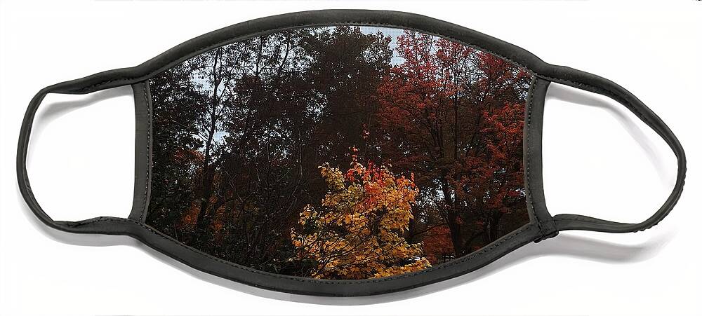 Autumn Face Mask featuring the photograph Autumn Colors in the Neighborhood by Frank J Casella