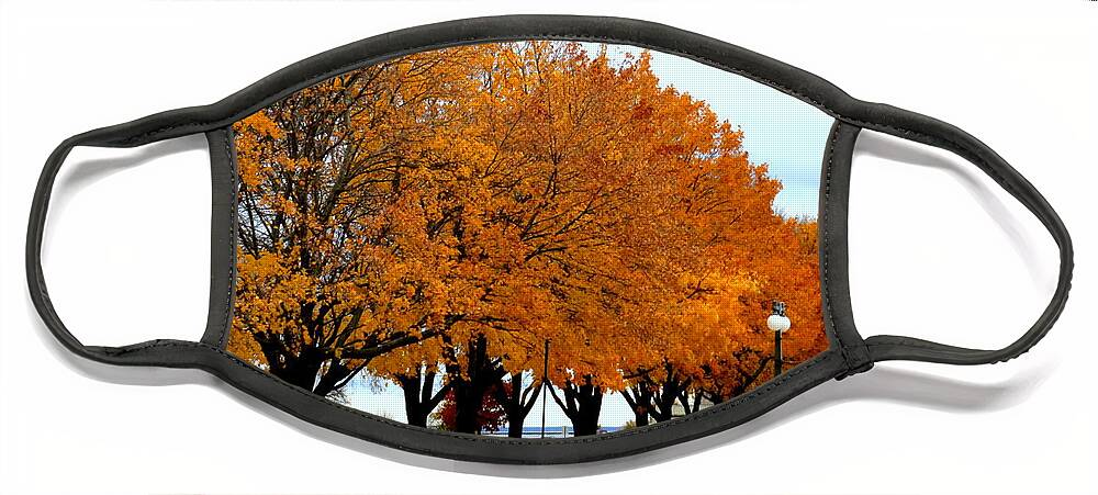 Autumn Face Mask featuring the photograph Autumn leaves in Menominee Michigan by Ms Judi