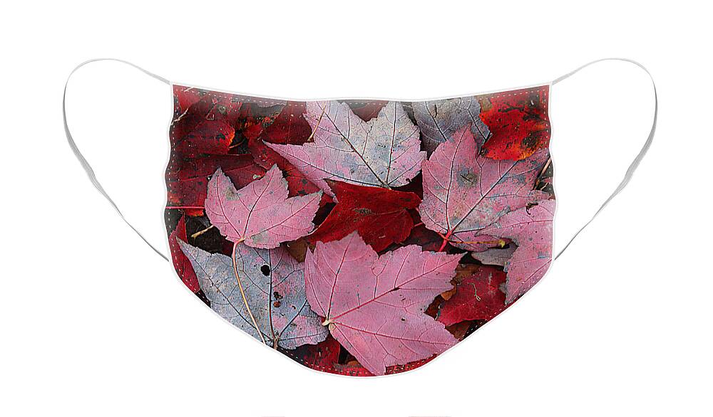 Autumn Face Mask featuring the photograph Autumn's In The Red by Rene Crystal