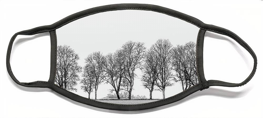 Avenue Of Maple Trees Face Mask featuring the photograph Avenue of maple trees in fog a side view in black and white by Torbjorn Swenelius