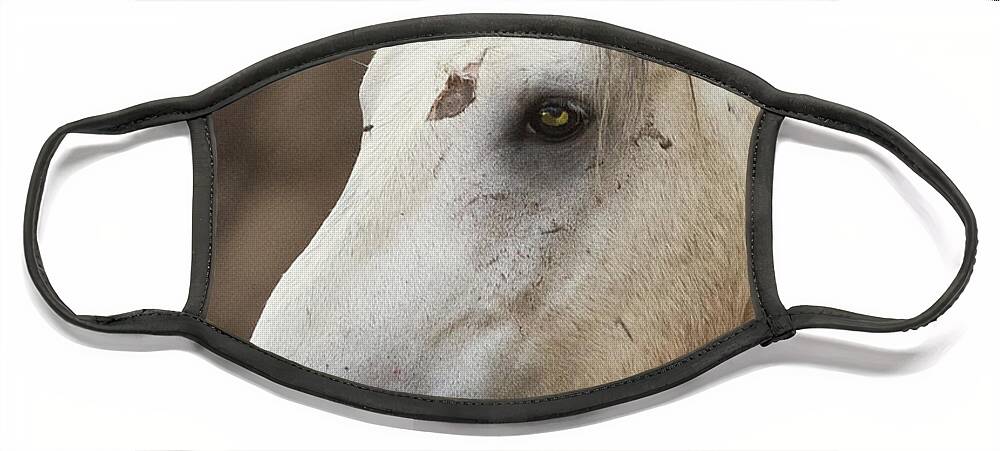 Battle Scars Face Mask featuring the photograph Battle Scars by Shannon Hastings
