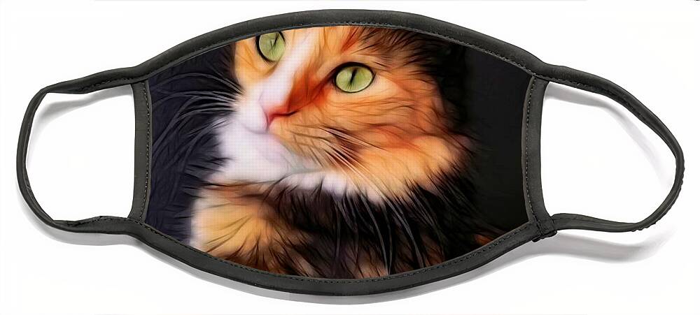 Cat Face Mask featuring the photograph Beautiful Cat by Stoney Lawrentz
