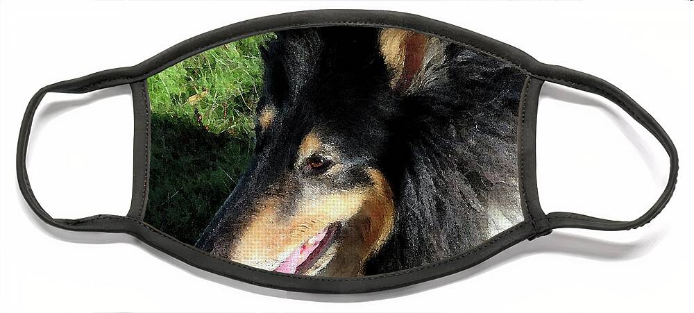 Dog Face Mask featuring the photograph Beautiful Collie - Dog by Marie Jamieson