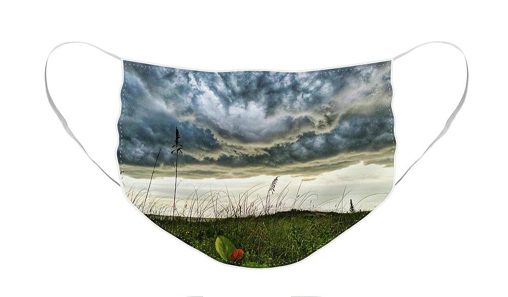 Grass Face Mask featuring the photograph Beautiful Storm by Portia Olaughlin