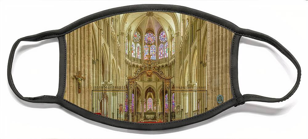  Face Mask featuring the photograph Beauty of the Cathedral by Marcy Wielfaert