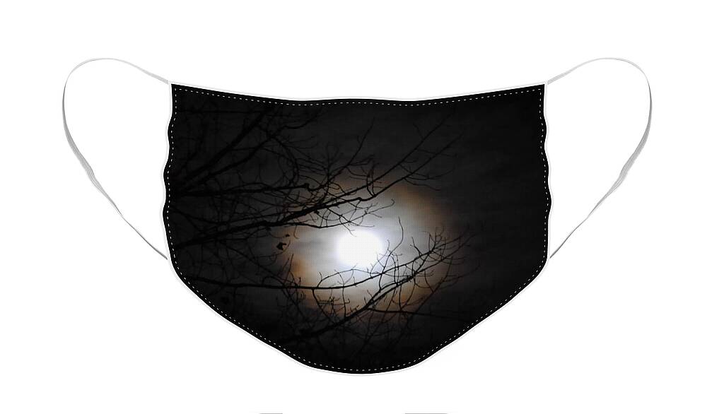 Moon Face Mask featuring the photograph Beaver Moon by Vallee Johnson