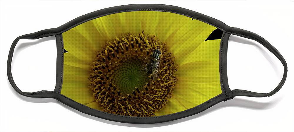 Sunflower Face Mask featuring the photograph Bee On Sunflower 4170 by Cathy Kovarik