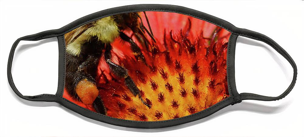 Bee Face Mask featuring the photograph Bee Red Flower by Meta Gatschenberger