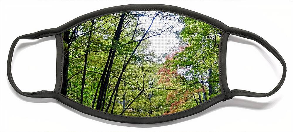 Trees Face Mask featuring the photograph Beginning of Autumn by Kathy Ozzard Chism