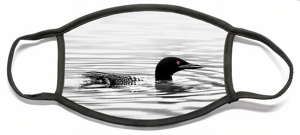 Loon Face Mask featuring the photograph Black And White Loon by Christina Rollo