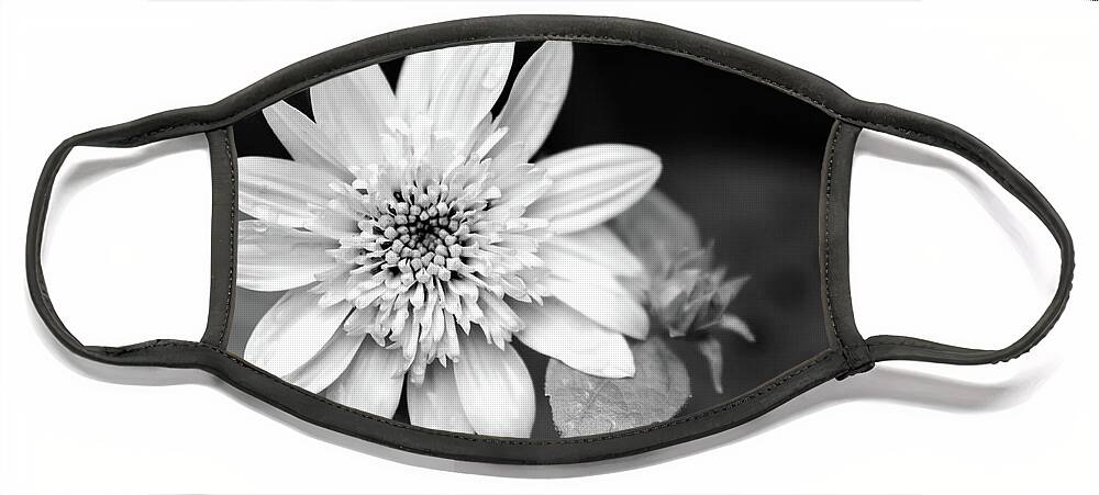 Black And White Face Mask featuring the photograph Black and White Sunrise Coreopsis by Christina Rollo