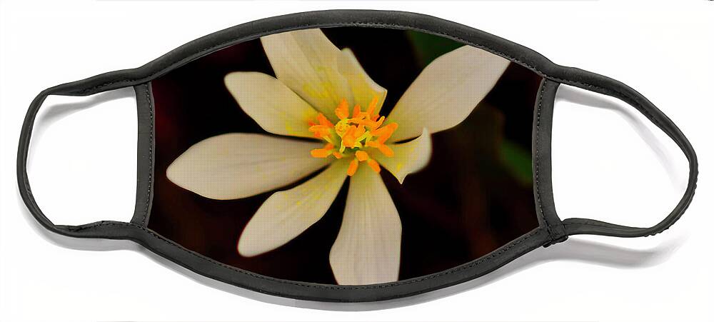 Macro Photography Face Mask featuring the photograph Bloodroot by Meta Gatschenberger