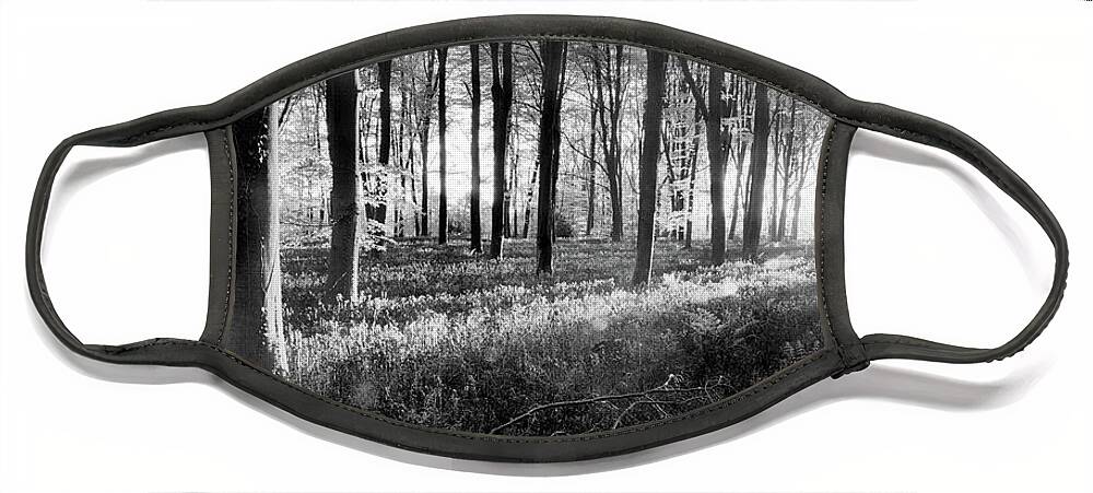 Bluebells Face Mask featuring the photograph Bluebell woods sunrise in spring black and white by Simon Bratt