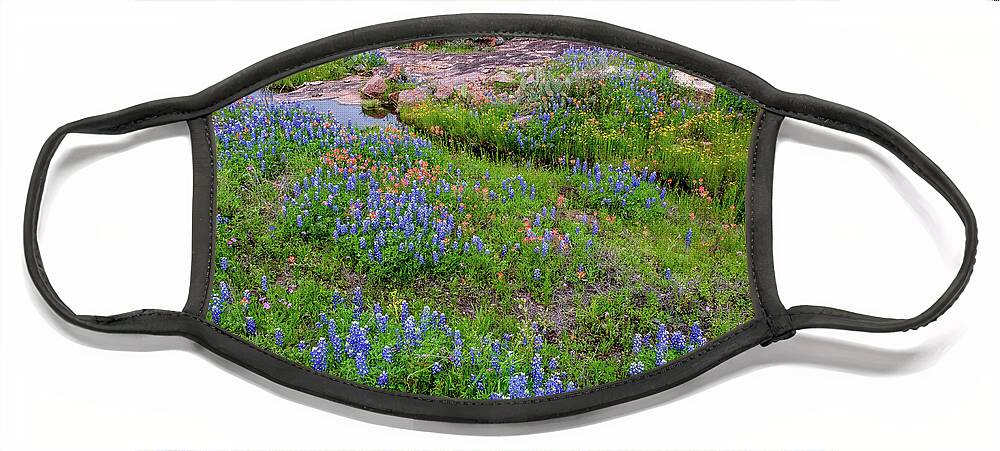Texas Wildflowers Face Mask featuring the photograph Bluebonnet Stream by Johnny Boyd