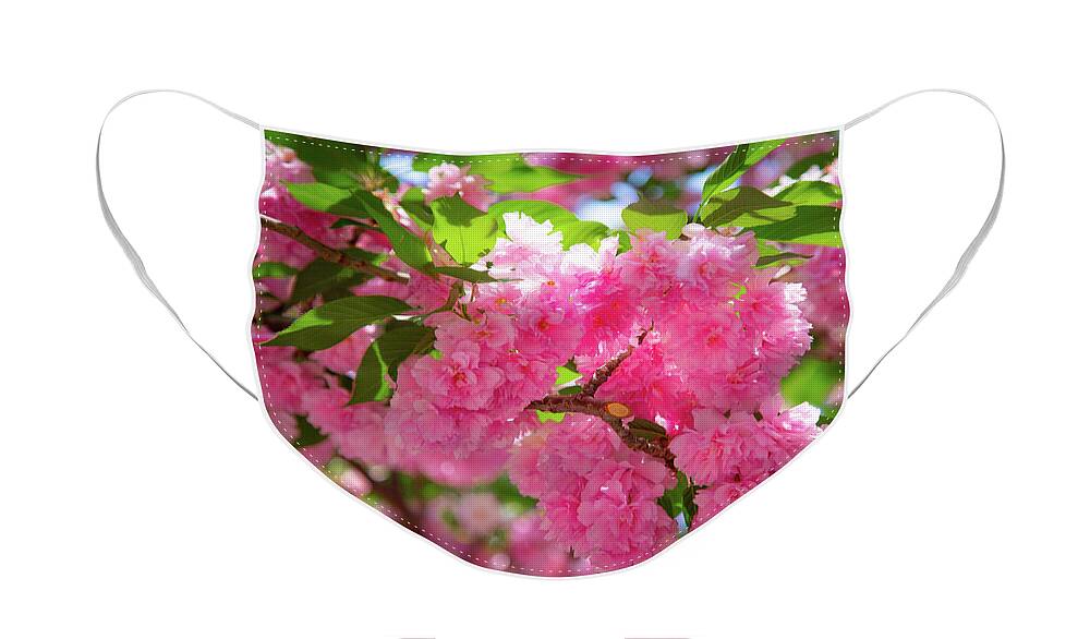Flowers Face Mask featuring the photograph Bright Pink Blossoms by Lora J Wilson
