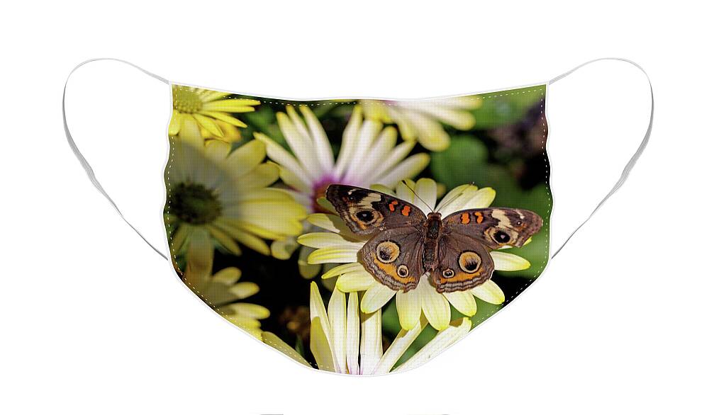 Buckeye Butterfly Face Mask featuring the photograph Buckeye Butterfly by Terri Brewster
