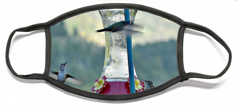Hummingbirds Face Mask featuring the photograph Busy Time at the Feeder by Dorrene BrownButterfield