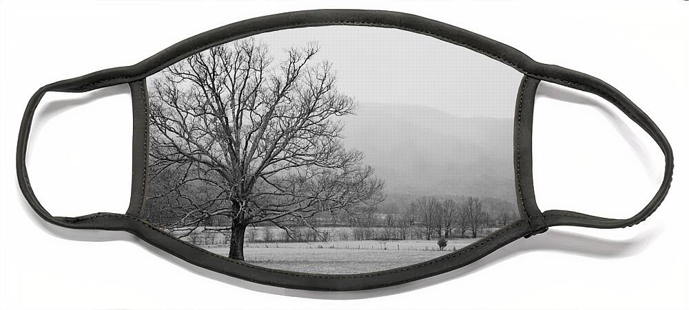 Cades Cove Face Mask featuring the photograph Cades Cove 1 by Nunweiler Photography
