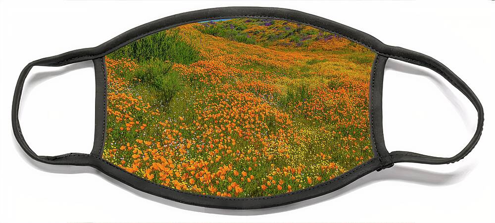 00568185 Face Mask featuring the photograph California Poppy Spring Bloom, Diamond Valley Lake, California by Tim Fitzharris