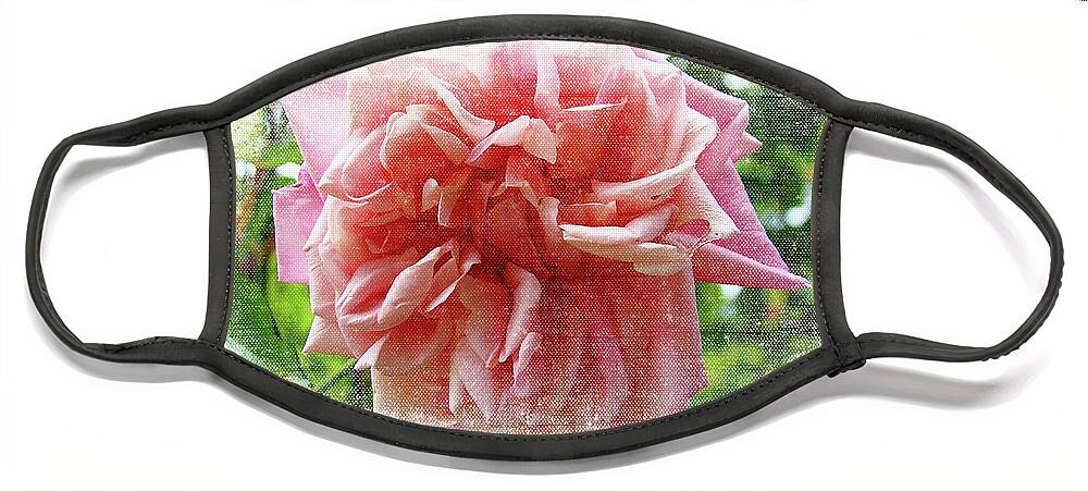 Virginia Face Mask featuring the photograph Cemetery Rose by Lenore Locken