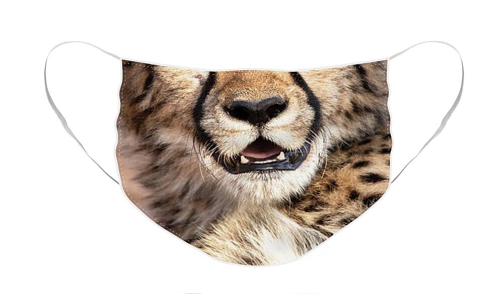 Cheetah Face Mask featuring the photograph Cheetah Conservation Print 9 by Jennifer Leigh Warner