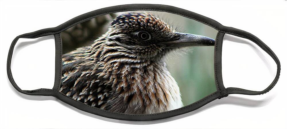 Roadrunner Face Mask featuring the photograph Closeup of Road Runner by Dragon in Palm Desert by Colleen Cornelius
