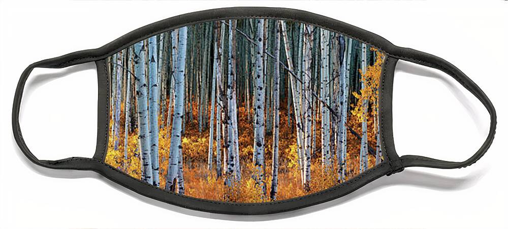 Olena Art Face Mask featuring the photograph Colorado Autumn Wonder Panorama by OLena Art