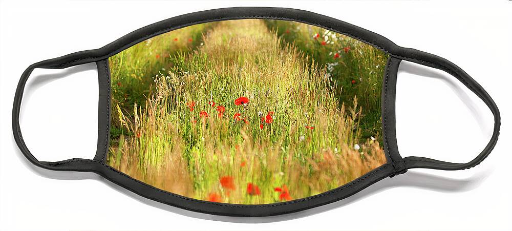 Converging Face Mask featuring the photograph Converging tracks in a flower meadow by Simon Bratt