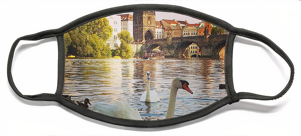 River Face Mask featuring the photograph Czech Swans Swimming by Andrea Whitaker