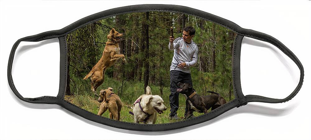 Dog Face Mask featuring the photograph Dogs playing by Julieta Belmont